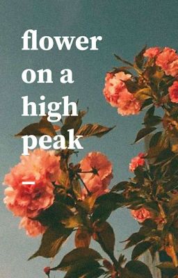 Kookmin | Flower on a High Peak