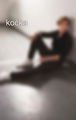 kočka