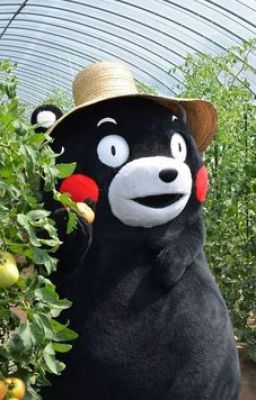 Kumamon Của Riêng Mình.