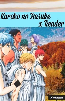 Kuroko no Basuke x Reader