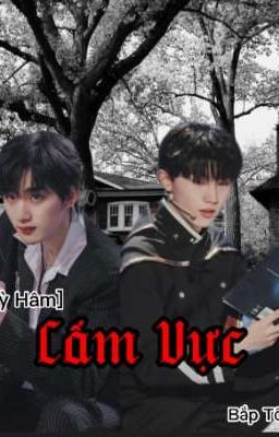 [ Kỳ Hâm] Cấm Vực