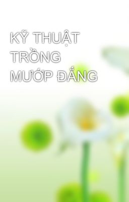 KỸ THUẬT TRỒNG MƯỚP ĐẮNG