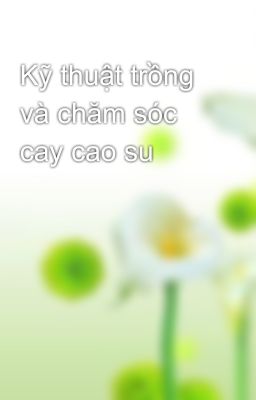 Kỹ thuật trồng và chăm sóc cay cao su