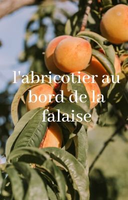 L'abricotier au bord de la falaise