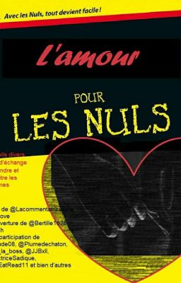 L'amour pour les Nuls