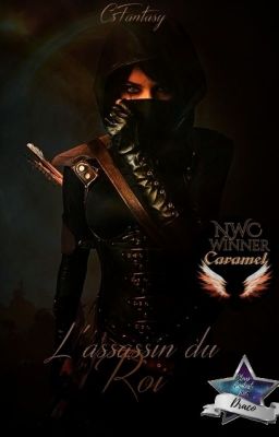 L'Assassin du Roi (Le Grand Royaume #1)