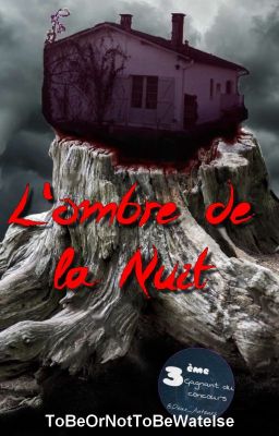 L'ombre de la Nuit