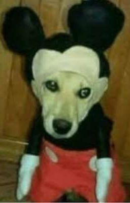 L∆  P€®®∆ De MI¢k€¥  -Mickey Mouse y Tu-