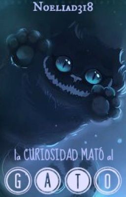 la CURIOSIDAD MATÓ al GATO