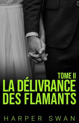 La Décadence des Flamants - Tome 5