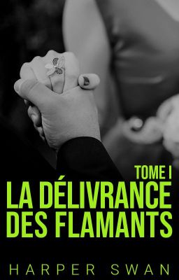 La Délivrance des Flamants - Tome 4