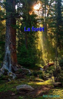 La forêt 