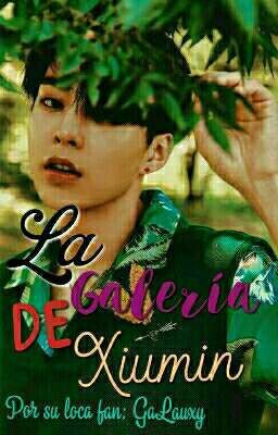 La Galería de Xiumin