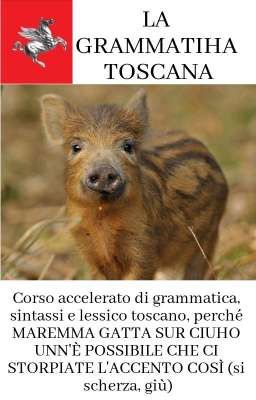 La Grammatiha Toscana || Corso accelerato di grammatica, sintassi e lessico