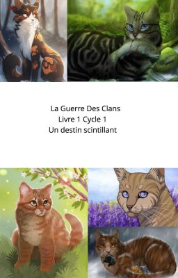 La Guerre Des Clans Livre 1 Cycle 1 Un destin scintillant