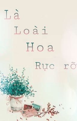 Là loài hoa rực rỡ