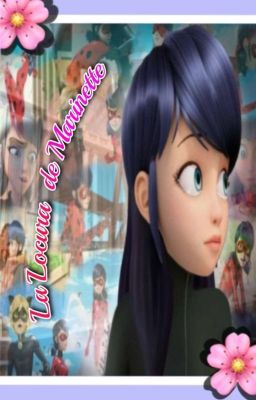 la locura de marinette ( One-Shot) 