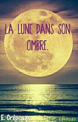 La lune dans son ombre.