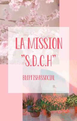 La mission ''Sauvetage de Chittaphon Hyung''