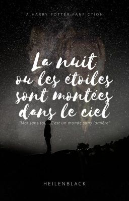 LA NUIT OÙ LES ÉTOILES SONT MONTÉES DANS LE CIEL [terminée]