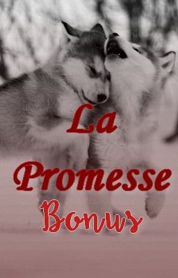 La Promesse - Bonus