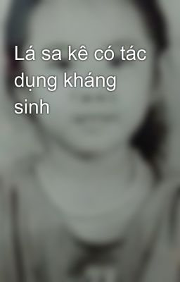 Lá sa kê có tác dụng kháng sinh