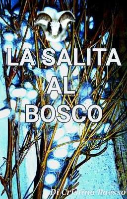 LA SALITA AL BOSCO