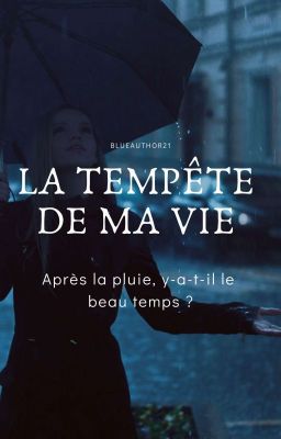 La tempête de ma vie 