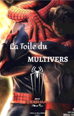 La Toile du Multivers