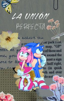 La unión perfecta | Sonamy