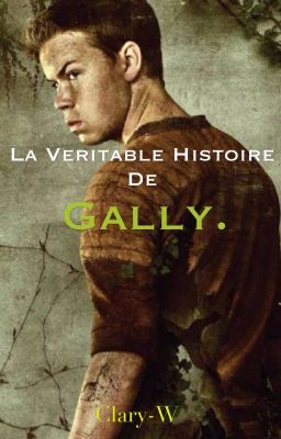 La véritable histoire de Gally.