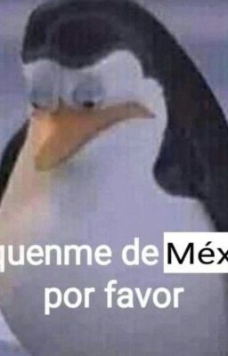 la vida de una mexicana intentando sobrevivir a latam xd