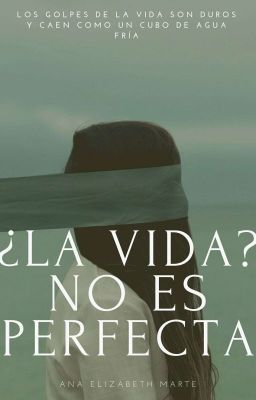 ¿La Vida? No es perfecta©