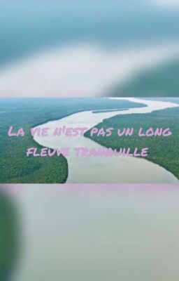 La vie n'est pas un long fleuve tranquille