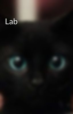 Lab