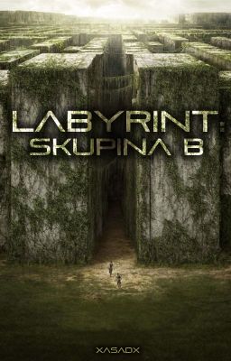 Labyrint: Skupina B