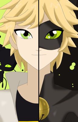 Lady Fantasy (One-Shot) ((Chat Noir y tú))