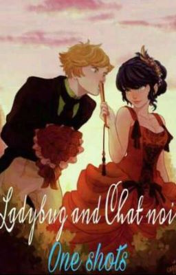 Ladybug and Chat noir oneshots