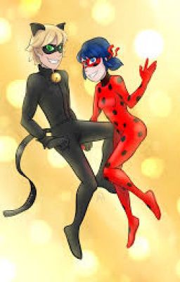 ladybug and chat noir oneshots