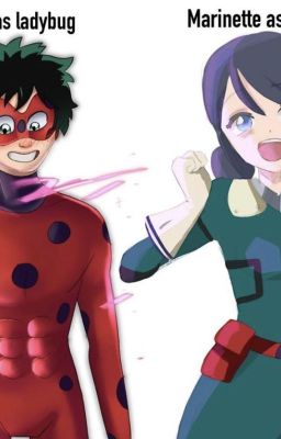 Ladybug Boku no Hero