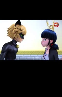 Ladybug y chat noir marichat   o marinette y adrien .