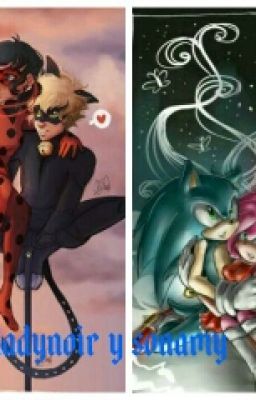 Ladynoir Y Sonamy: Unos Amores Complicados