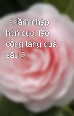 《 lầm nhập hôn cục, lão công tàng quá sâu 》