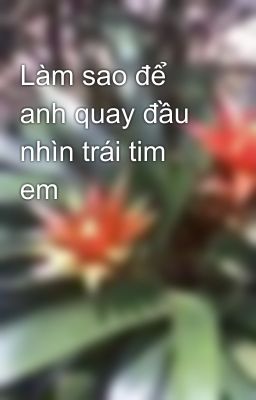 Làm sao để anh quay đầu nhìn trái tim em