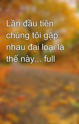 Lần đầu tiên chúng tôi gặp nhau đại loại là thế này... full