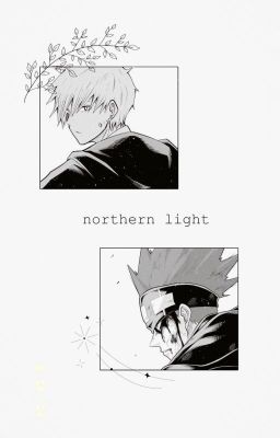 [LanceDot] Mashle(Oneshot) - northern lights