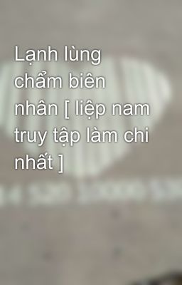 Lạnh lùng chẩm biên nhân [ liệp nam truy tập làm chi nhất ]