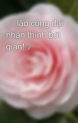 《 lão công đại nhân thỉnh bớt giận! 》