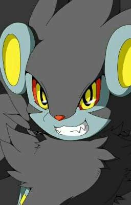 Las aventuras de un Luxray