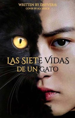 Las siete vidas de un gato